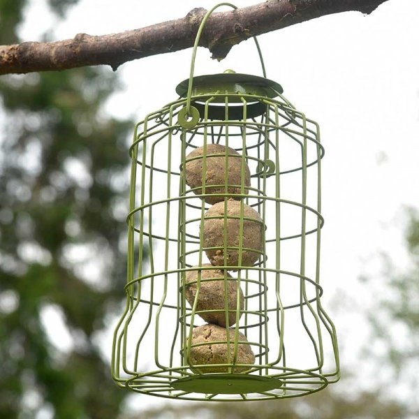 chapelwood squirrel proof bird feeders