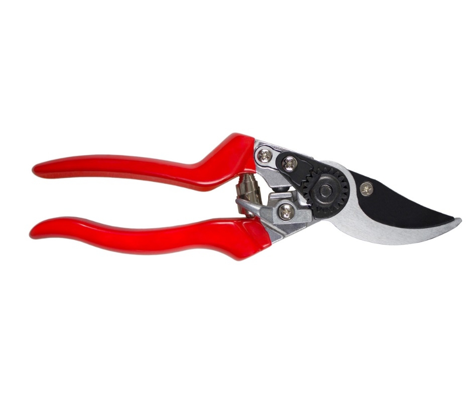 Darlac Professional Left Hand Bypass Pruner - Horticentre - Your Family ...