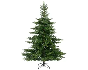 Grandis Fir 120 cm
