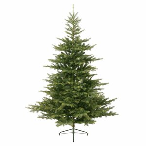 Grandis Fir 180 cm