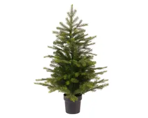Grandis mini tree indoor 60cm