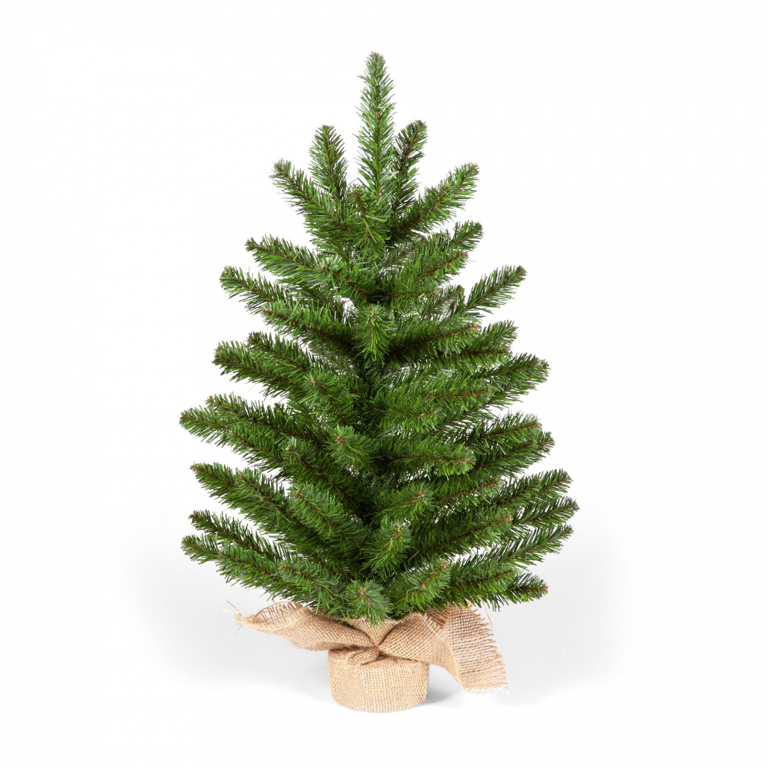 Imperial Mini Tree with bag 75cm - Horticentre - Your Family Run Garden ...