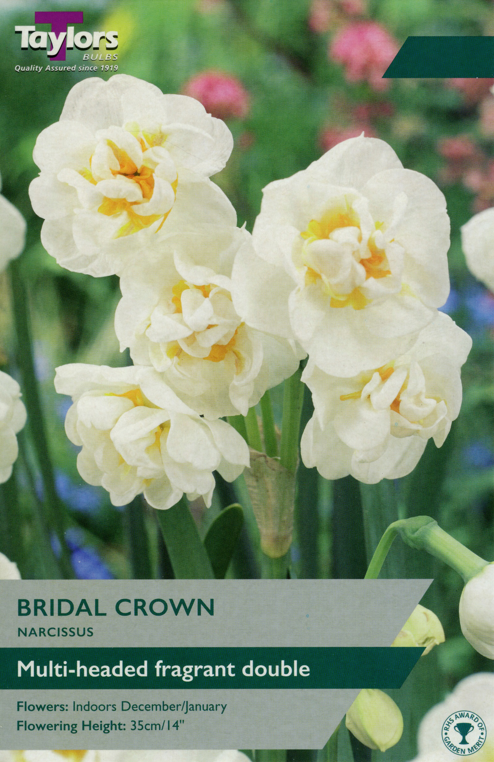 Narcissus - Bridal Crown - 5 Pack - Horticentre - Your Family Run ...